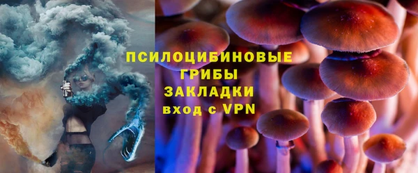 дмт Алзамай