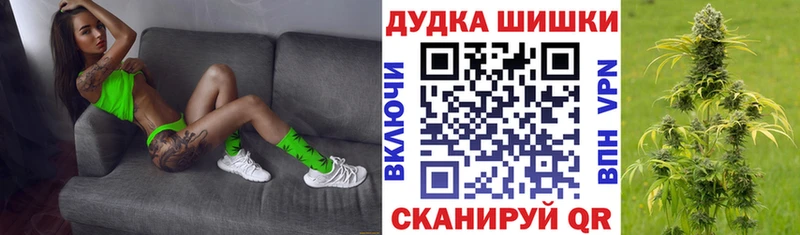 МАРИХУАНА сатива Абаза